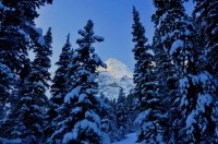 horseshoe,trail,spray lake,alberta,canada,canmore