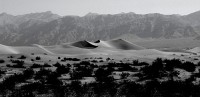 American Desert