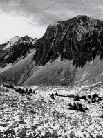 highwood pass,winter,peter lougheed provincial park,alberta,canada