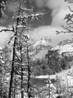 lake ohara,winter,yoho,british columbia,canada,trees