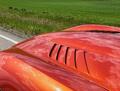 Viper