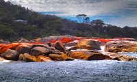 Tasmanian Coast 