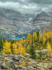 Lake O'Hara