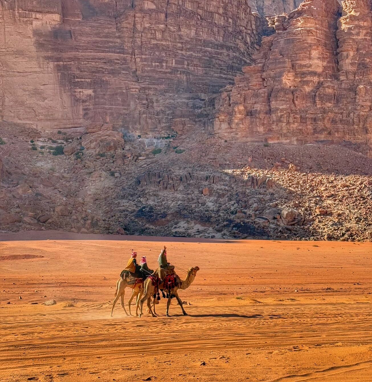Camel Patrol